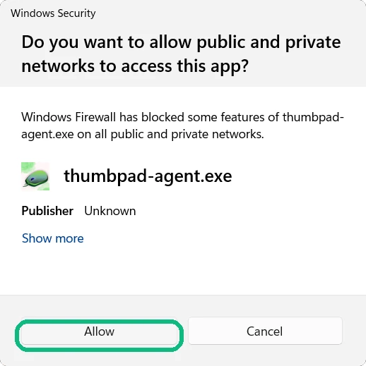 Windows Security network access prompt with Allow highlighted